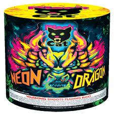 Black Cat Neon Dragon